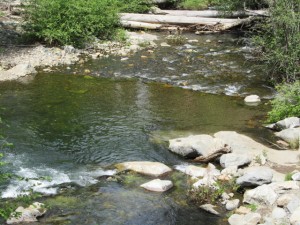 upper beaver creek