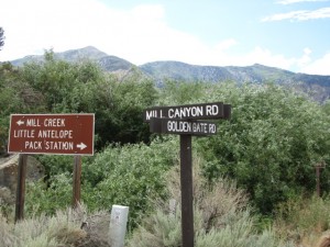 Junction of Mill Canyon Road and Golden Gate Road.