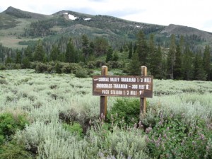 Sign at Rodriguez Flat