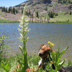 Brandi at Noble Lake