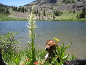 Brandi at Noble Lake