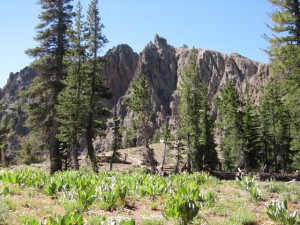 Volcanic Peaks