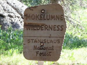 Wilderness Area sign