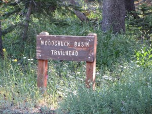 Woodchuck Basin Trailhead sign on Hwy 4