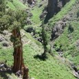 Take the Pacific Crest Trail to Nobel Lake.