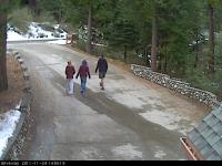 motion11-11-24_14-50-19-48.jpg